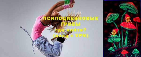 амф Белоозёрский